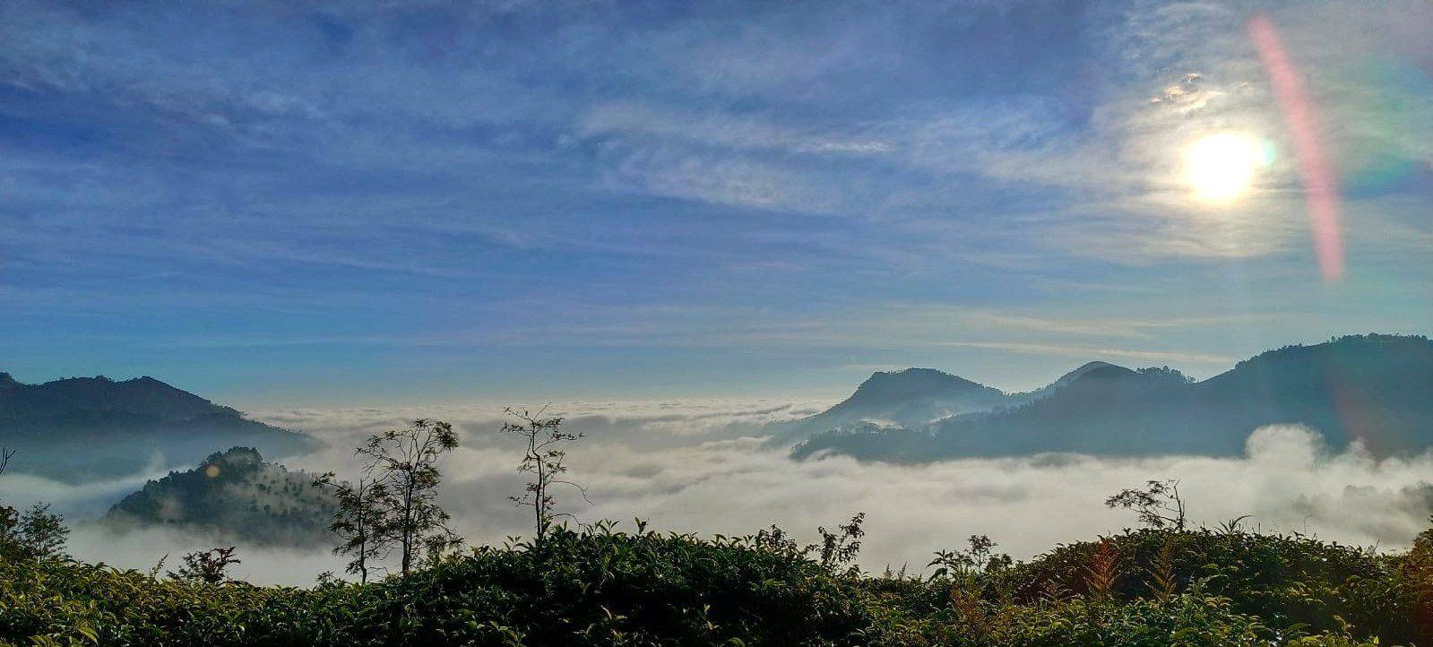 Sea of clouds below the Nilgiri peaks at sunrise